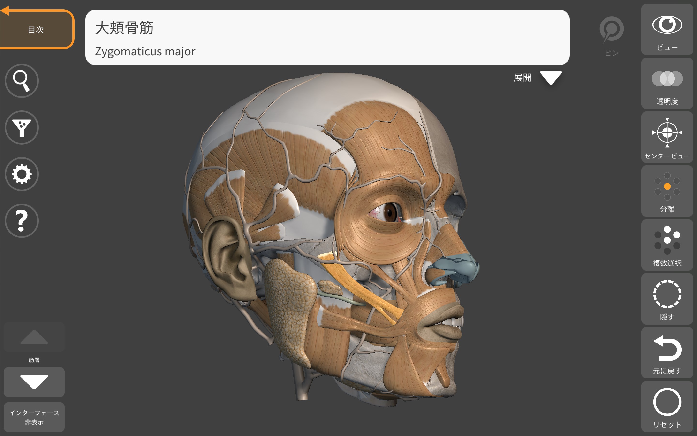 アーティストのための3D解剖学的構造 - Microsoft Apps