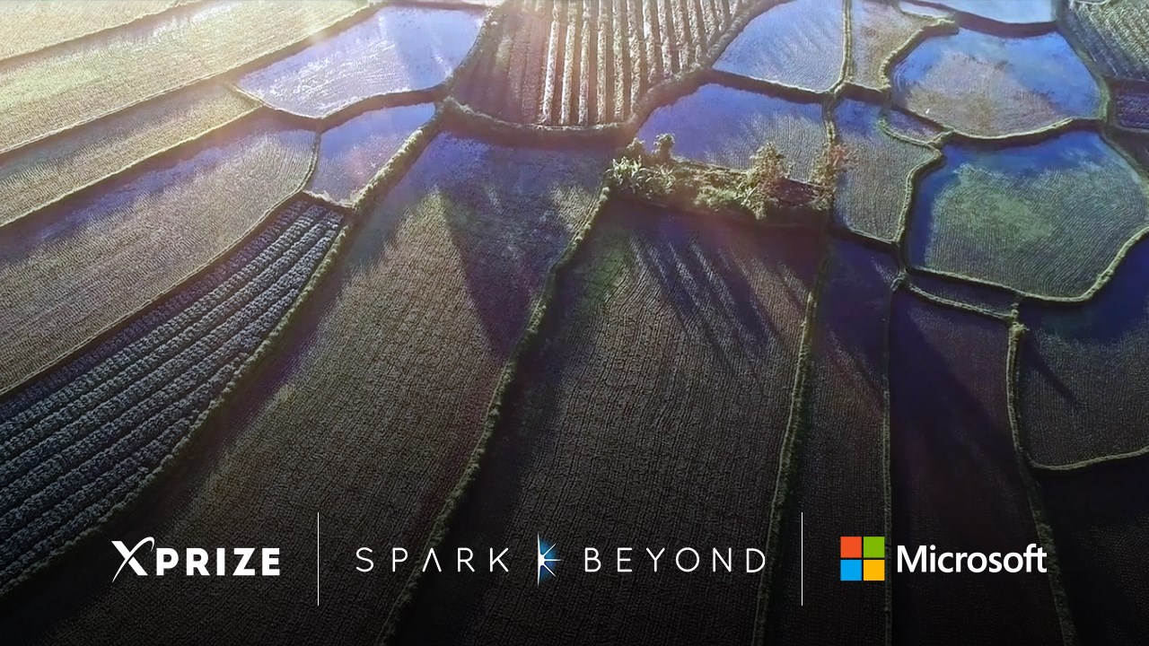 Snapshot 2 of SparkBeyond: Problem Solving Platform