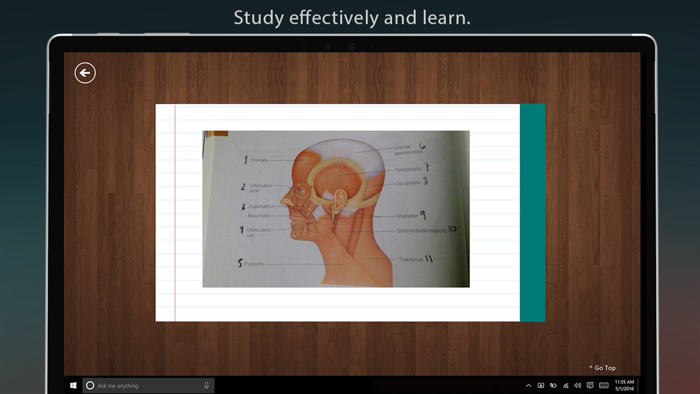 #6. My FlashCards (Windows) Door: ProjectDNA