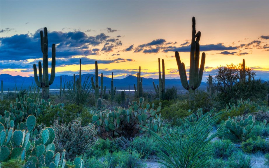 US National Parks_4