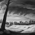 Forest of Deceit