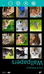 Animal Wallpapers for Mobile screenshot 6