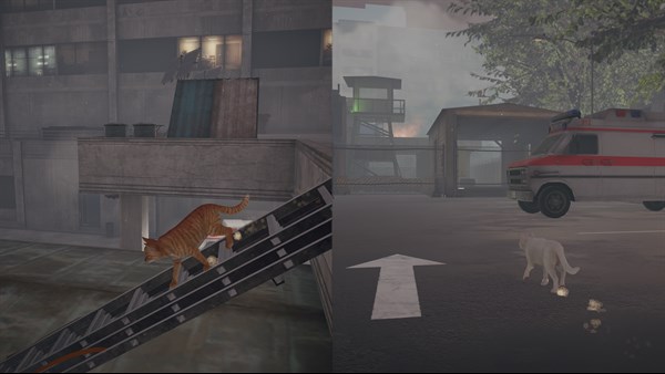 Little Strays 2 — 3