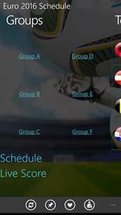 Euro 2016 Schedule & Result screenshot 2