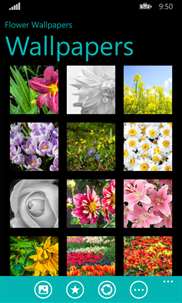 Flower Wallpapers HD Plus screenshot 6