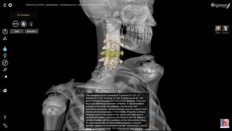 3D Organon Anatomy - Skeleton, Bones, and Ligaments Screenshots 2