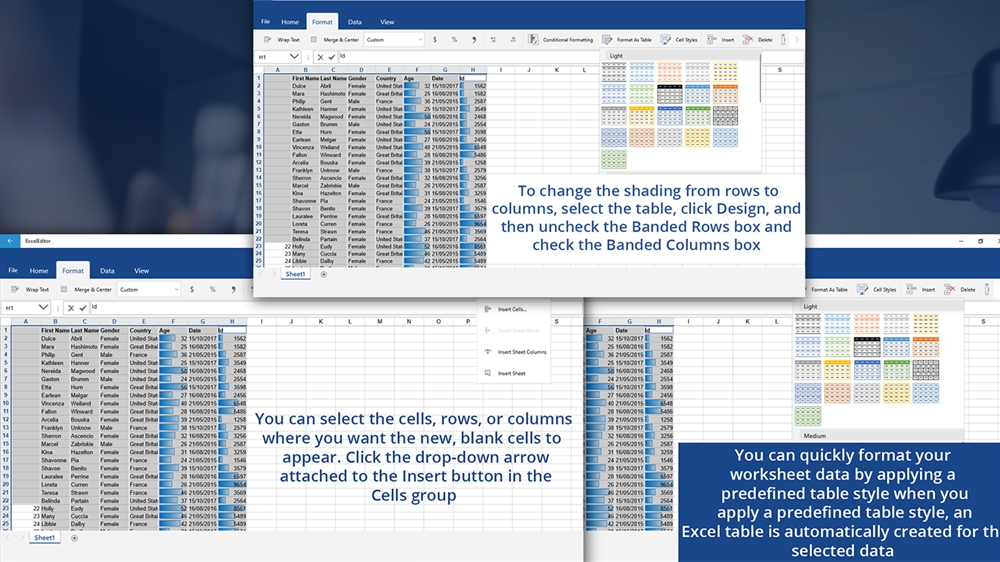 View ServerSide Excel XLSX In A ClientSide Data Viewer, 56 OFF