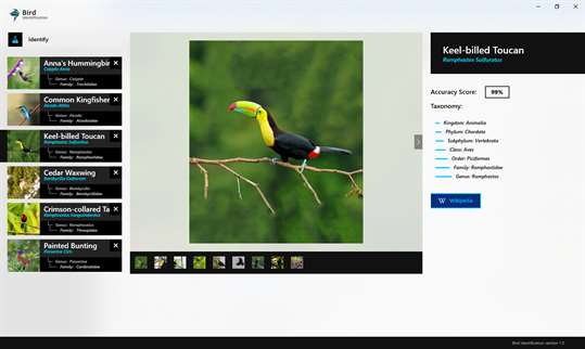 Bird Identification screenshot 3