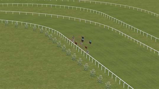 Horse Racing 2016 screenshot 3