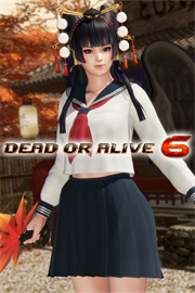 Купить ключ дешево (Revival) DOA6 Школьная форма. Нётэнгу
