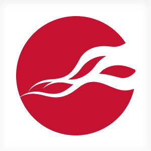 Descargar Signify Smart ID