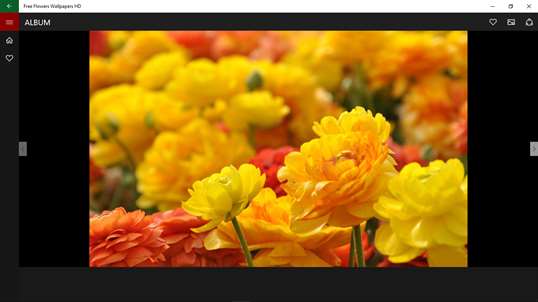 Free Flowers Wallpapers HD screenshot 3