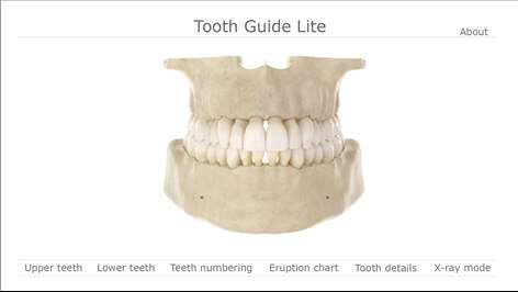 Tooth Guide Lite Screenshots 1