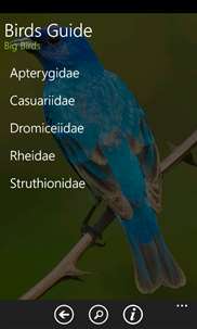 Birds Guide screenshot 1