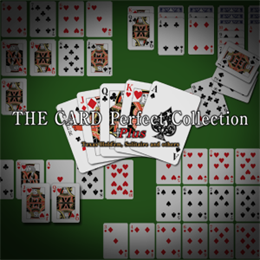 Aperçu THE CARD Perfect Collection Plus: Texas Hold 'em, Solitaire and others