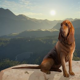 Aperçu theHunter: Call of the Wild™ - bundle Essentials DLC
