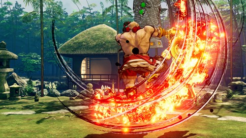 DLC CHARACTER "WAN-FU"