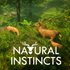 Natural Instincts