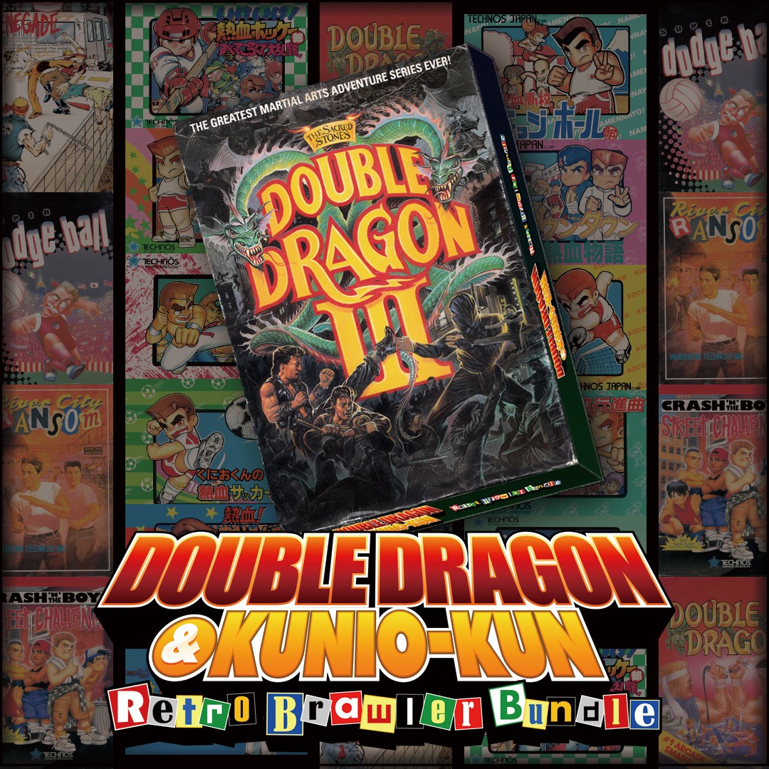 DOUBLE DRAGON Ⅲ: The Sacred Stones