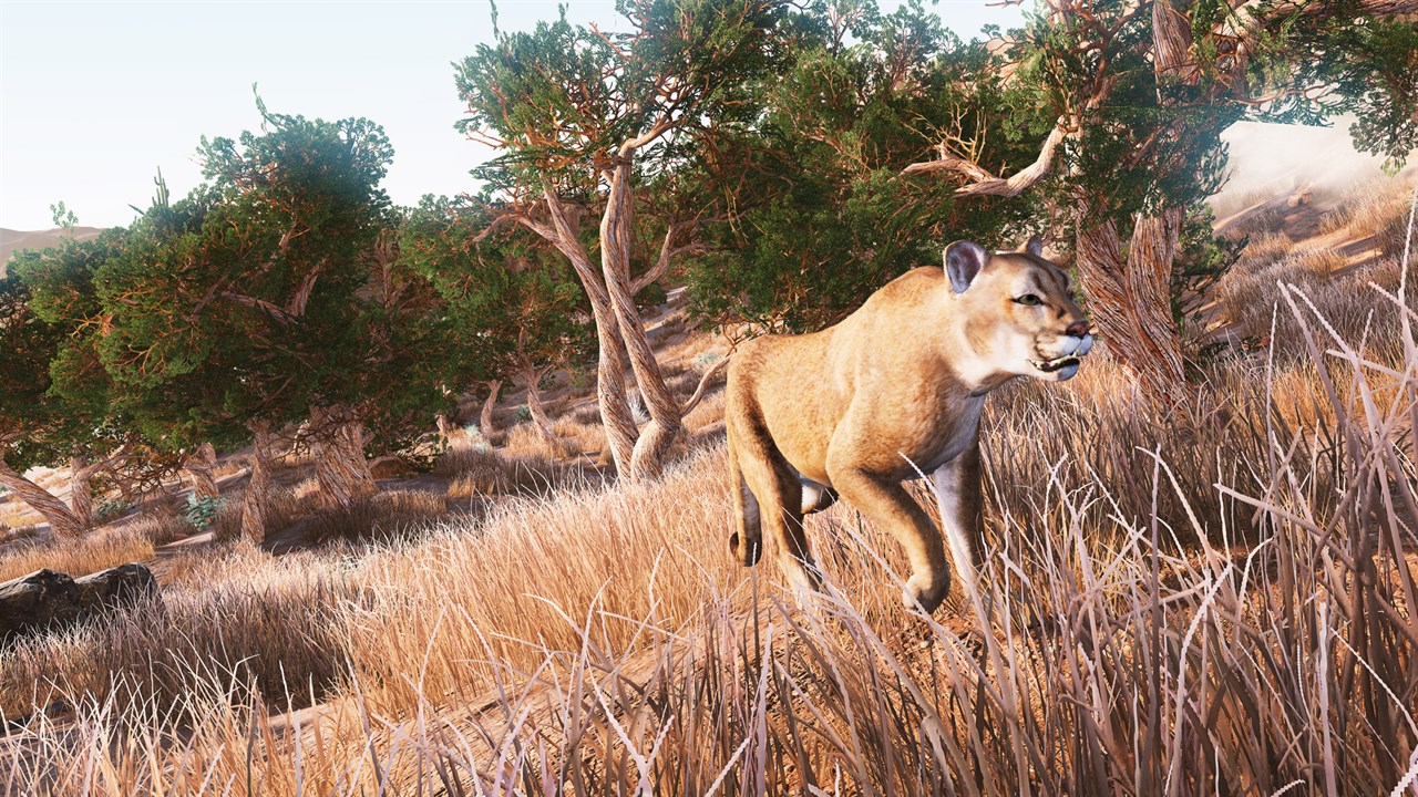 Hunting Simulator screenshot 2