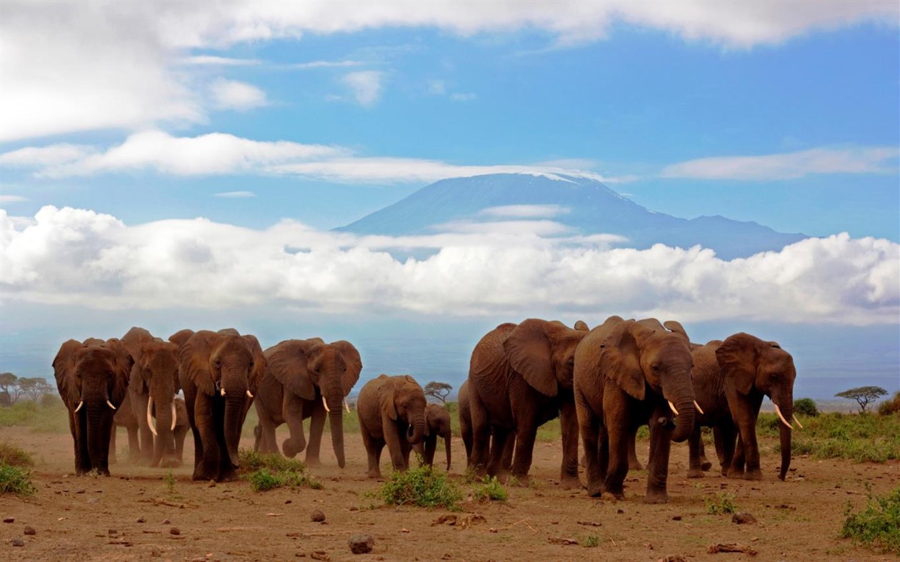 #2. Migration (Windows) 由: Microsoft Corporation