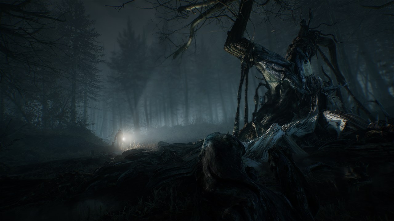 Blair Witch screenshot 1