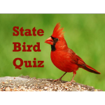 State Bird Quiz