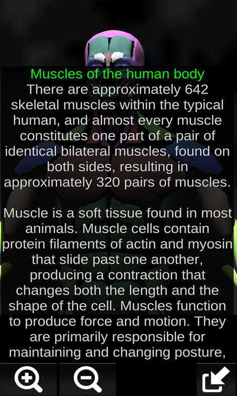 Muscular System 3D (Anatomy) Screenshots 2
