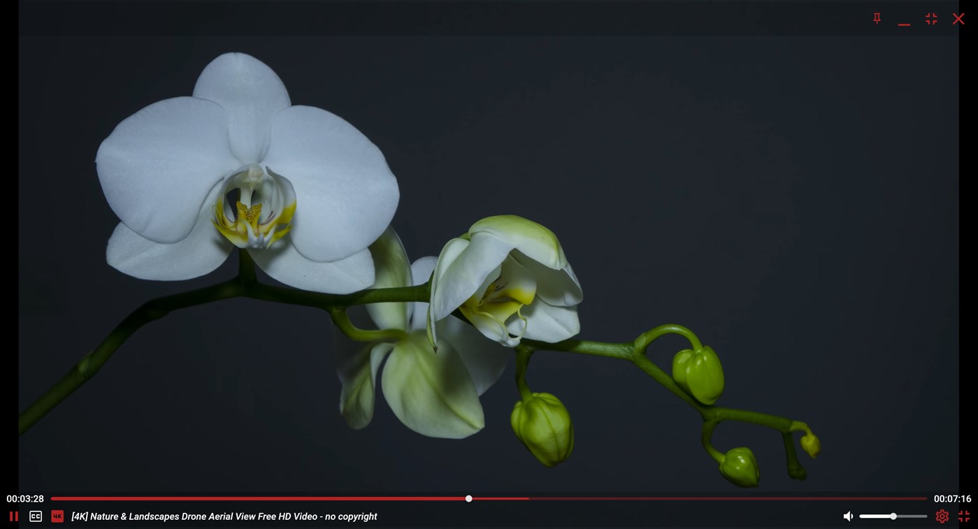 #2. HEVC Video Player X (Windows) Von: David Ella