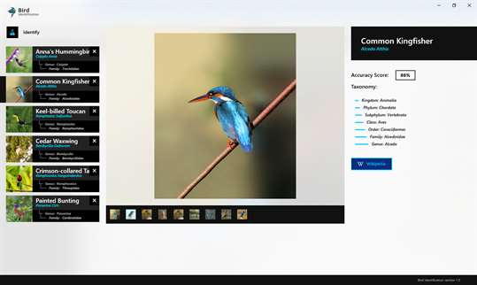 Bird Identification screenshot 2