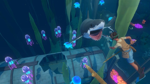 Raft screenshot 2
