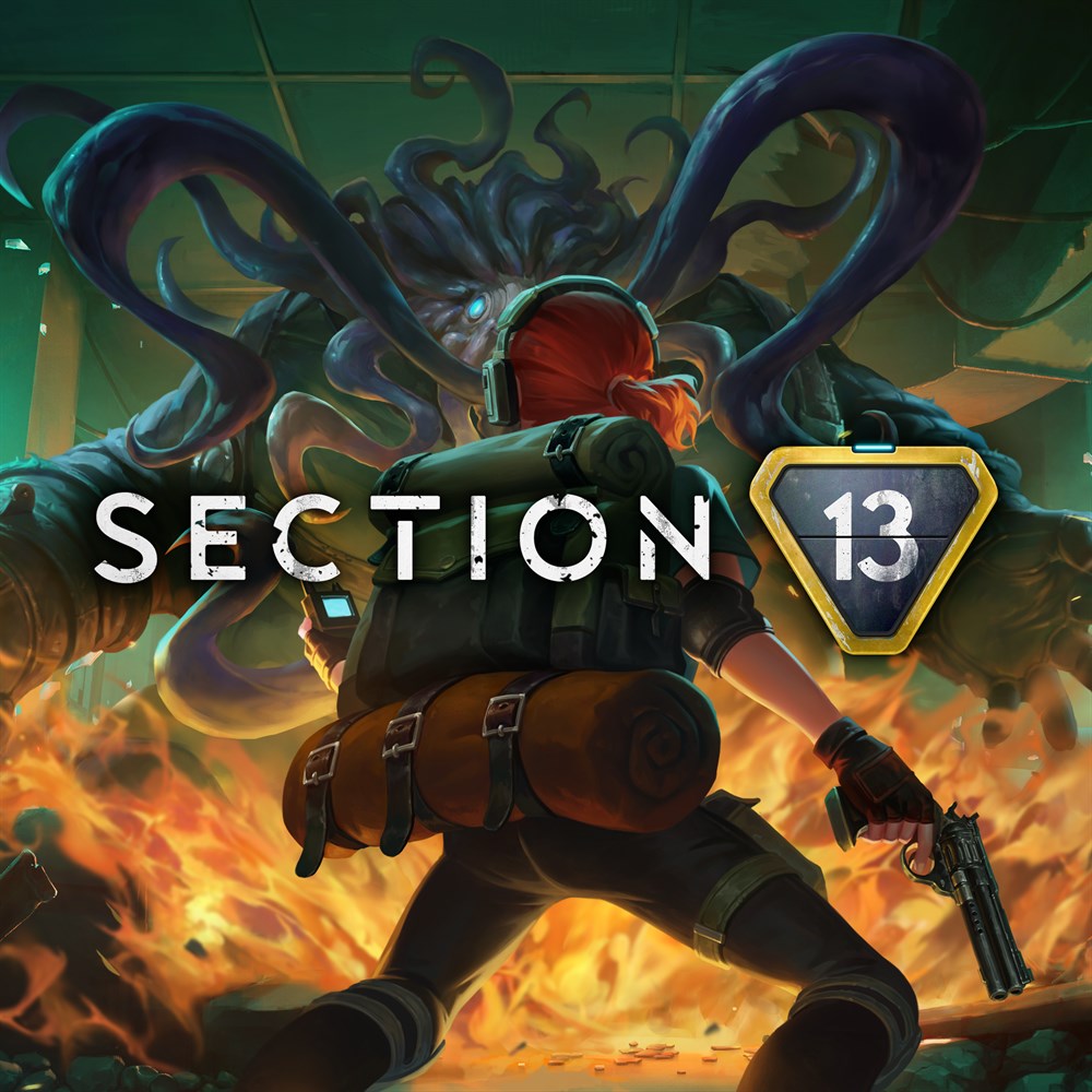 Section 13 cover art (full size)