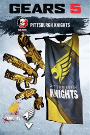 Lot Pittsburgh Knights