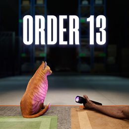 Aperçu Order 13