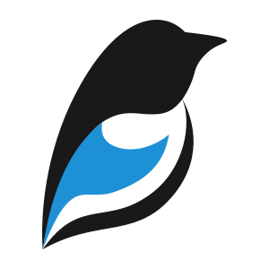 Magpie SEO Audit Tools icon