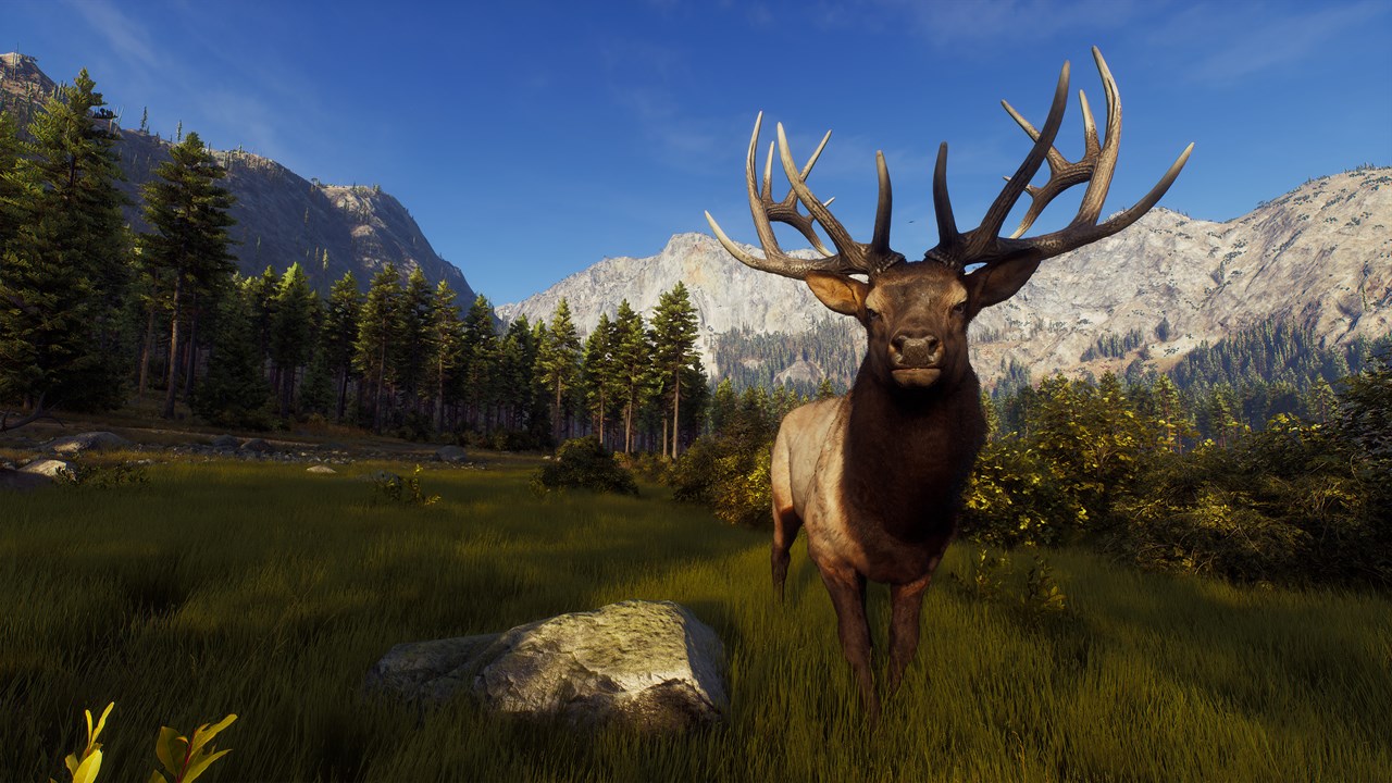 Way of the Hunter screenshot 3