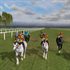 Horse Racing 2016