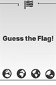 Guess the Flag! - World Flags Quiz
