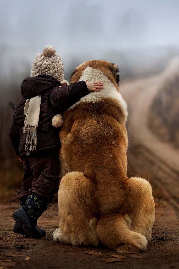 Dog Breeds