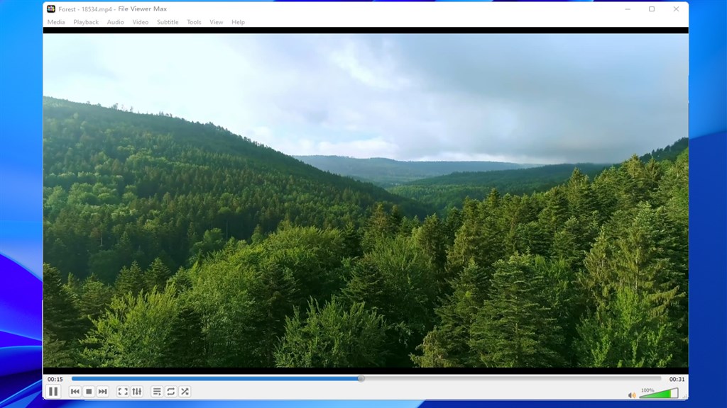 File Viewer Max_5