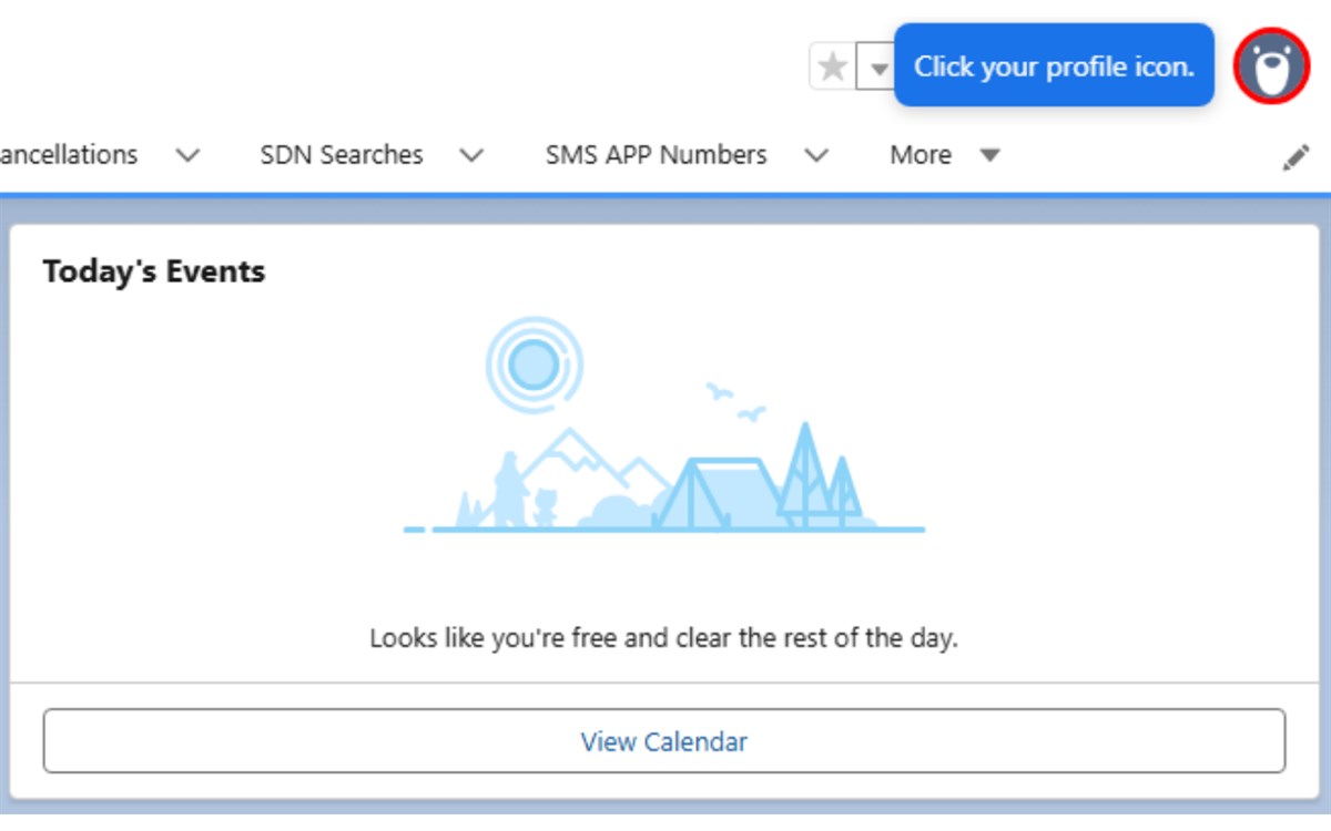 Salesforce Setup Guide