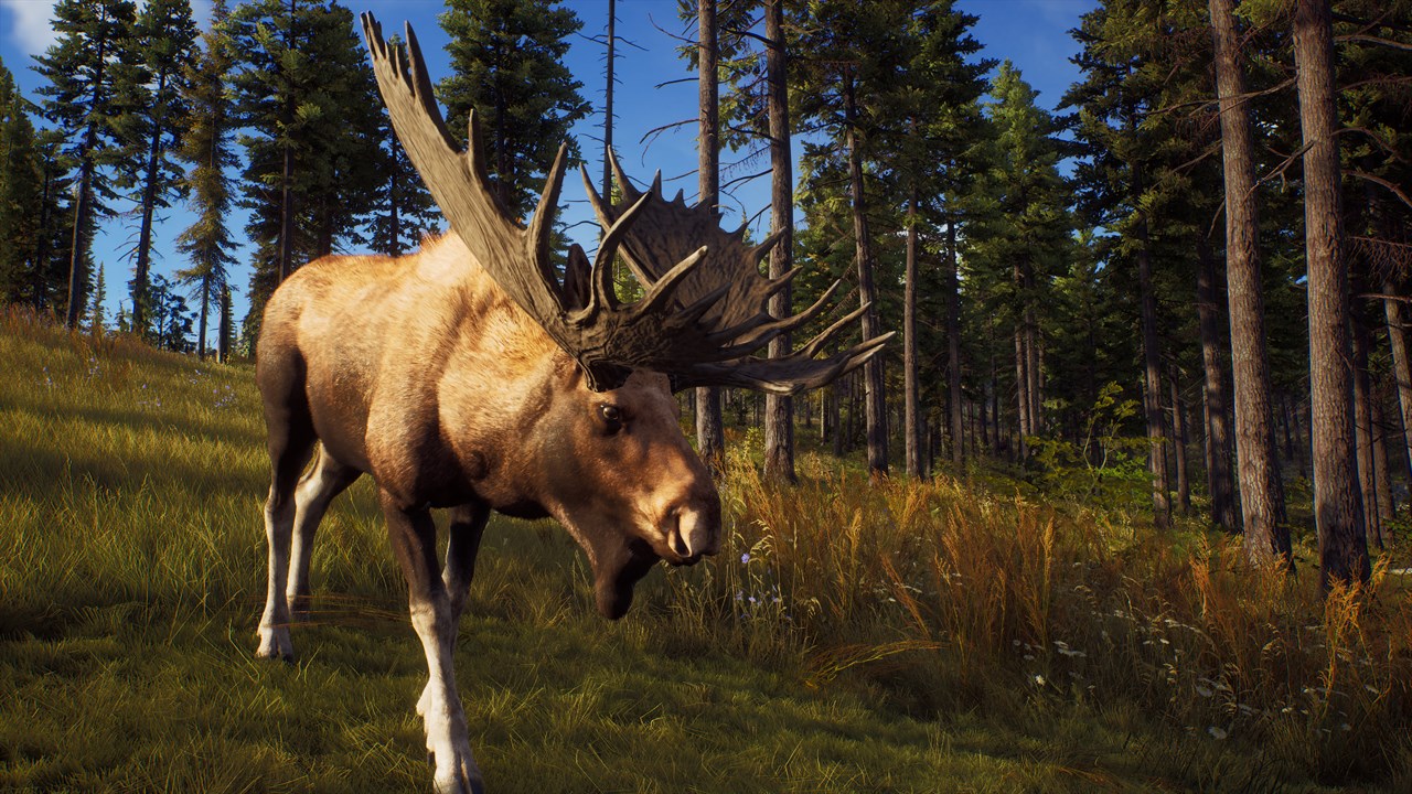 Way of the Hunter: Elite Edition screenshot 1