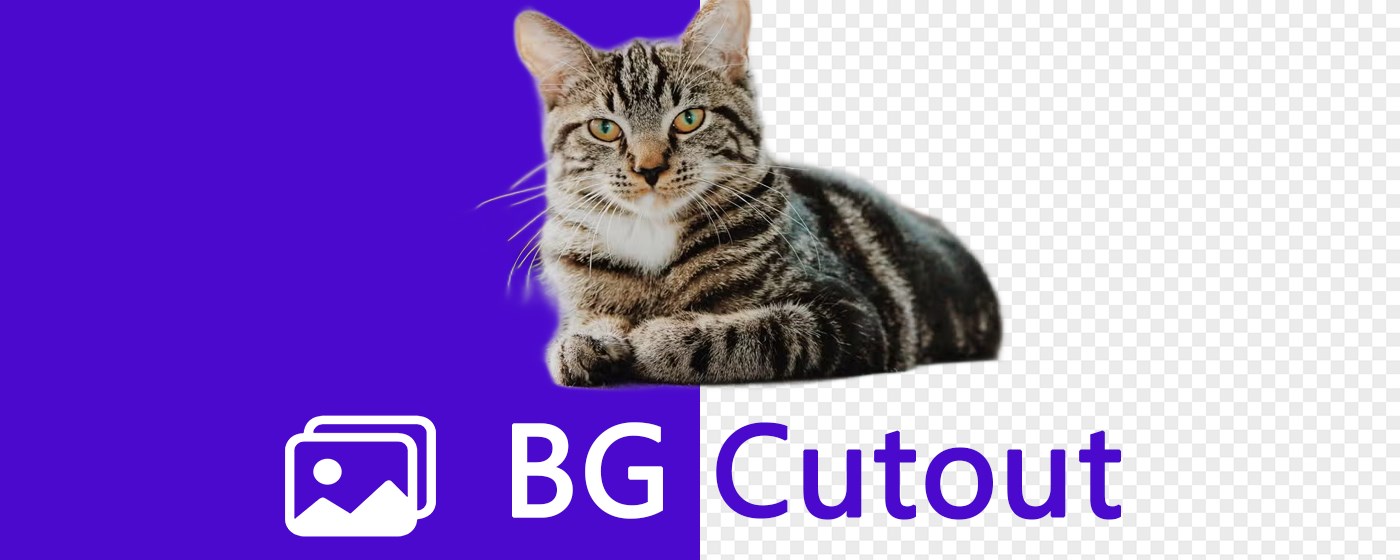 Save Image as Transparent PNG - BgCutout marquee promo image