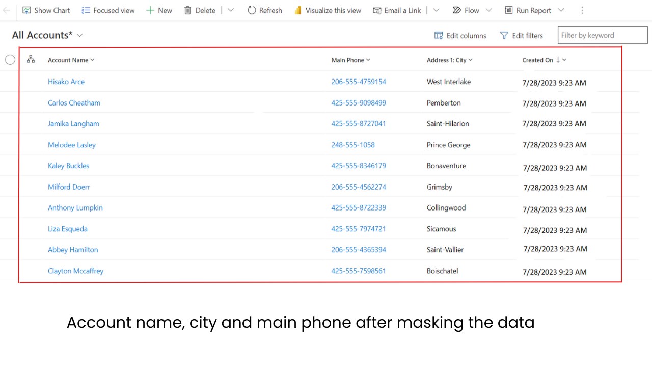 Snapshot 6 of Data Mask Tool for Dataverse
