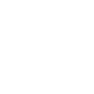 blueKiwi