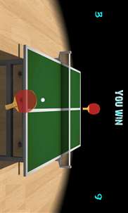 Table Tennis Simulator screenshot 3
