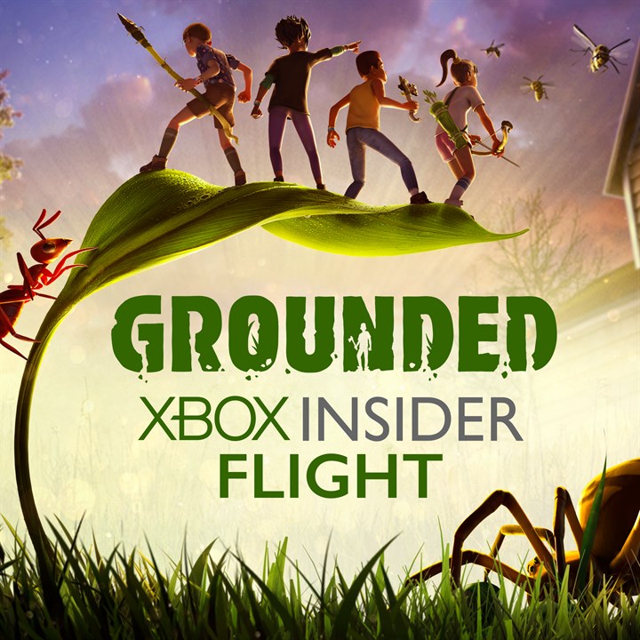 Grounded Insider Flight