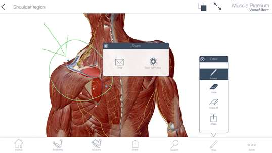 Muscle Premium: 3D Visual Guide for Bones, Joints & Muscles — Human Anatomy & Kinesiology screenshot 9