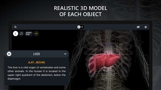 Discover Human Body - Anatomy and Physiology screenshot 3
