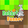 Looney Rabbit Dash Toons